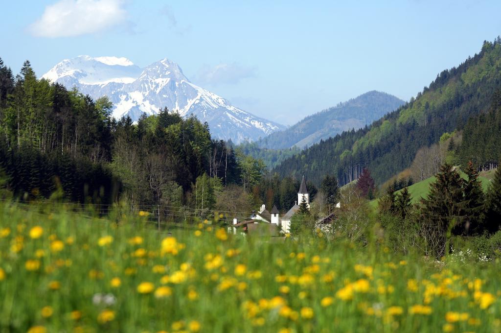 Alpenhotel Ensmann Lassing  Buitenkant foto